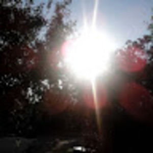 Meet your Posher, Reyna